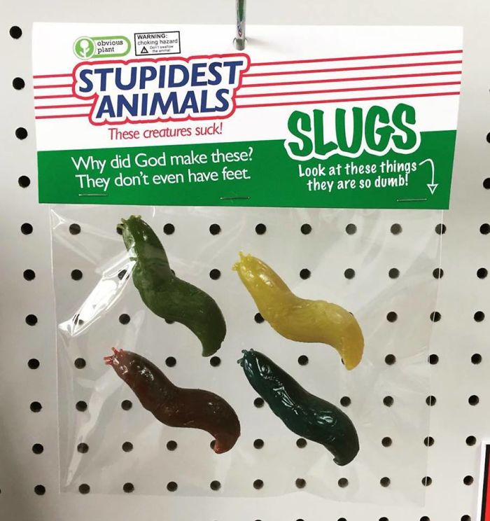&#8216;Obvious Plant&#8217; Leaves Hilarious Fake Products In Real Stores