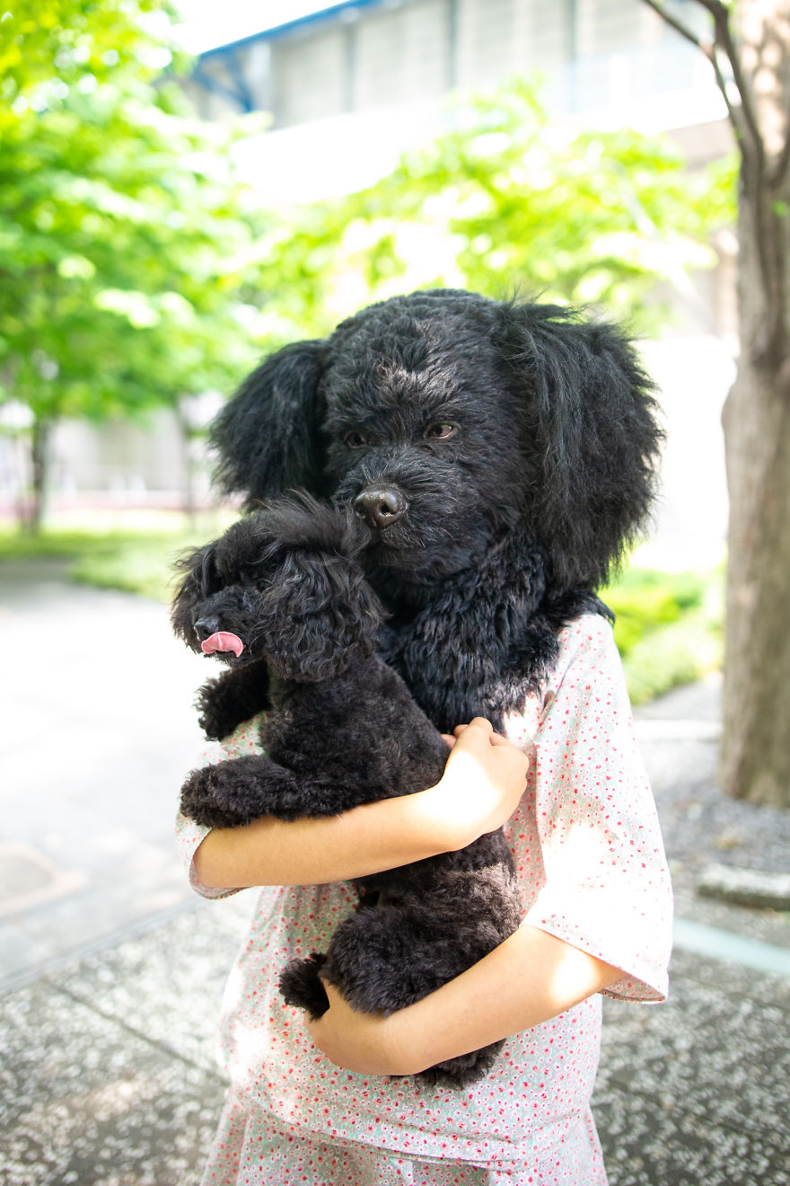 These Super Realistic Custom-Made Pet Replica Masks Are A Sweet Spot Between Cute And Frightening These Super Realistic Custom-Made Pet Replica Masks Are A Sweet Spot Between Cute And Frightening