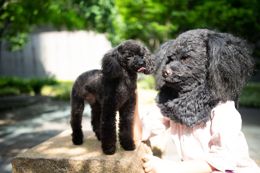 These Super Realistic Custom-Made Pet Replica Masks Are A Sweet Spot Between Cute And Frightening These Super Realistic Custom-Made Pet Replica Masks Are A Sweet Spot Between Cute And Frightening