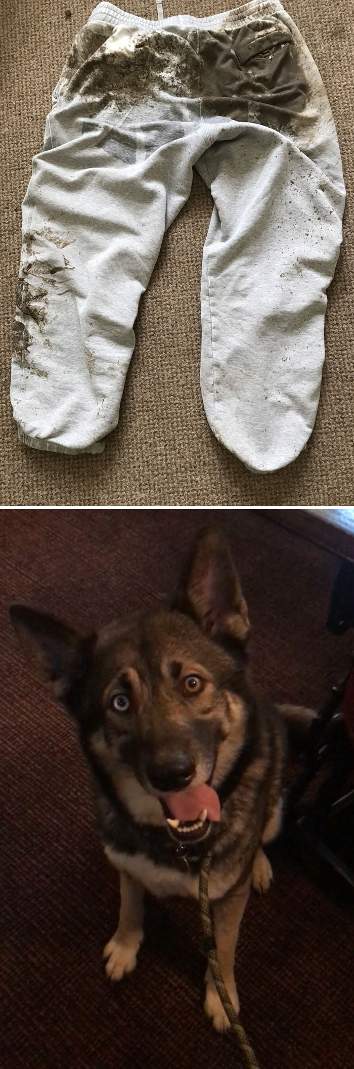 45 People Who Are Probably Having The Worst Day Ever (New Pics) 45 People Who Are Probably Having The Worst Day Ever (New Pics)