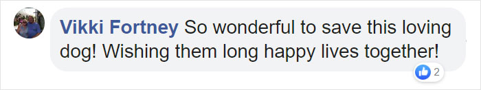 Man Rescues A Beagle From Being Euthanized In A Shelter, The Dog Can’t Contain His Gratitude, Hugs His Rescuer Man Rescues A Beagle From Being Euthanized In A Shelter, The Dog Can’t Contain His Gratitude, Hugs His Rescuer