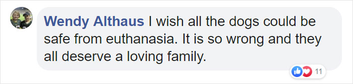 Man Rescues A Beagle From Being Euthanized In A Shelter, The Dog Can’t Contain His Gratitude, Hugs His Rescuer Man Rescues A Beagle From Being Euthanized In A Shelter, The Dog Can’t Contain His Gratitude, Hugs His Rescuer