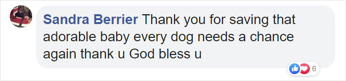 Man Rescues A Beagle From Being Euthanized In A Shelter, The Dog Can’t Contain His Gratitude, Hugs His Rescuer Man Rescues A Beagle From Being Euthanized In A Shelter, The Dog Can’t Contain His Gratitude, Hugs His Rescuer