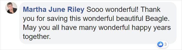 Man Rescues A Beagle From Being Euthanized In A Shelter, The Dog Can’t Contain His Gratitude, Hugs His Rescuer Man Rescues A Beagle From Being Euthanized In A Shelter, The Dog Can’t Contain His Gratitude, Hugs His Rescuer