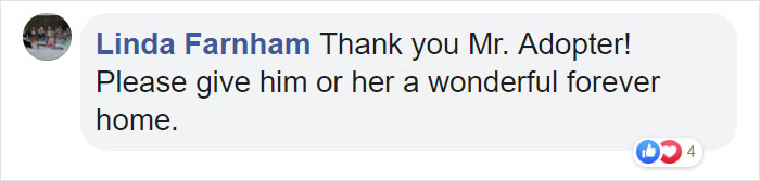 Man Rescues A Beagle From Being Euthanized In A Shelter, The Dog Can’t Contain His Gratitude, Hugs His Rescuer Man Rescues A Beagle From Being Euthanized In A Shelter, The Dog Can’t Contain His Gratitude, Hugs His Rescuer