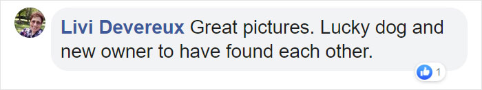 Man Rescues A Beagle From Being Euthanized In A Shelter, The Dog Can’t Contain His Gratitude, Hugs His Rescuer Man Rescues A Beagle From Being Euthanized In A Shelter, The Dog Can’t Contain His Gratitude, Hugs His Rescuer