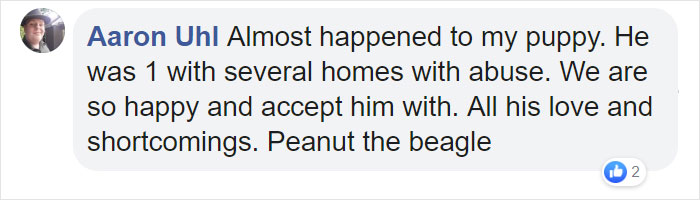 Man Rescues A Beagle From Being Euthanized In A Shelter, The Dog Can’t Contain His Gratitude, Hugs His Rescuer Man Rescues A Beagle From Being Euthanized In A Shelter, The Dog Can’t Contain His Gratitude, Hugs His Rescuer