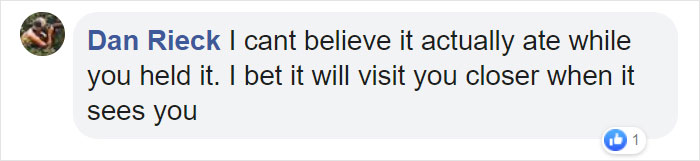 Woman Saves A Hummingbird That Fell Off A Tree, It Repays By Making Her Look Like A Real-Life Disney Princess Woman Saves A Hummingbird That Fell Off A Tree, It Repays By Making Her Look Like A Real-Life Disney Princess