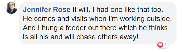 Woman Saves A Hummingbird That Fell Off A Tree, It Repays By Making Her Look Like A Real-Life Disney Princess Woman Saves A Hummingbird That Fell Off A Tree, It Repays By Making Her Look Like A Real-Life Disney Princess