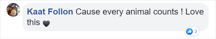 This Man Creates A Flotation Device To Save His Beloved Goldfish From Dying This Man Creates A Flotation Device To Save His Beloved Goldfish From Dying