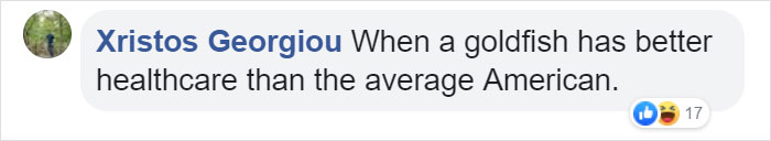 This Man Creates A Flotation Device To Save His Beloved Goldfish From Dying This Man Creates A Flotation Device To Save His Beloved Goldfish From Dying