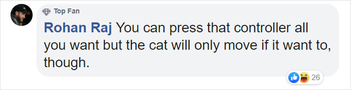 This Open-World Game Lets You Solve Mysteries As A Gang Of Cats