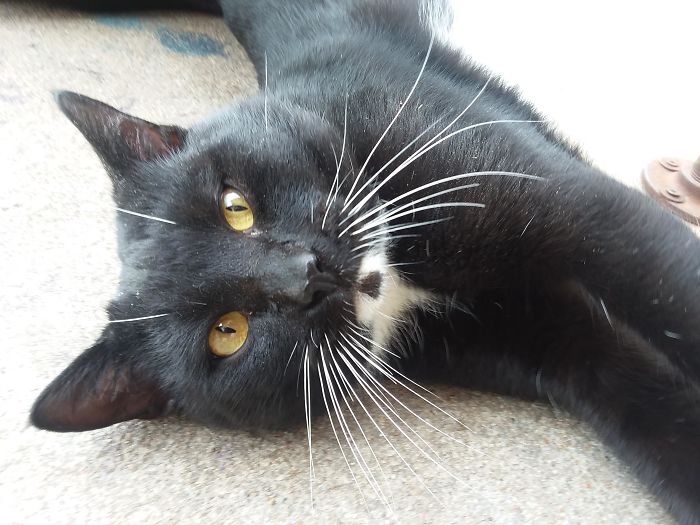 I&#8217;m Starting An Animal Rescue To Give Abandoned Animals A Second Chance At Life