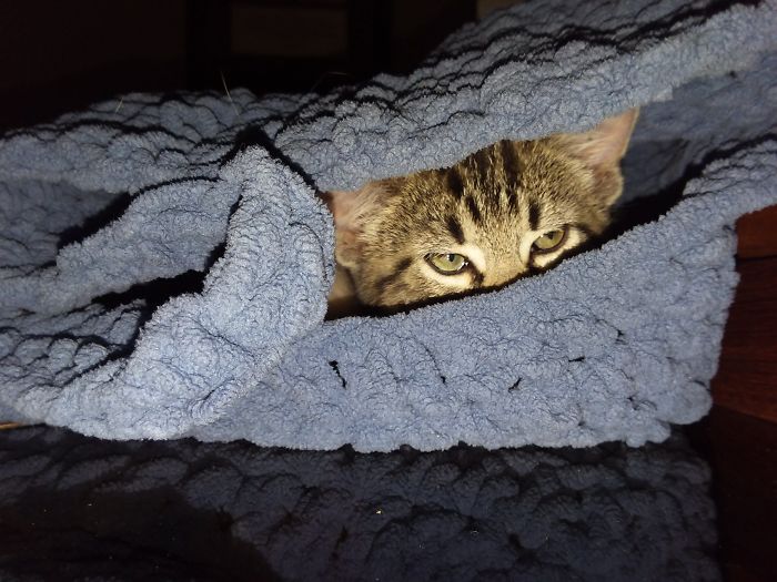 I&#8217;m Starting An Animal Rescue To Give Abandoned Animals A Second Chance At Life