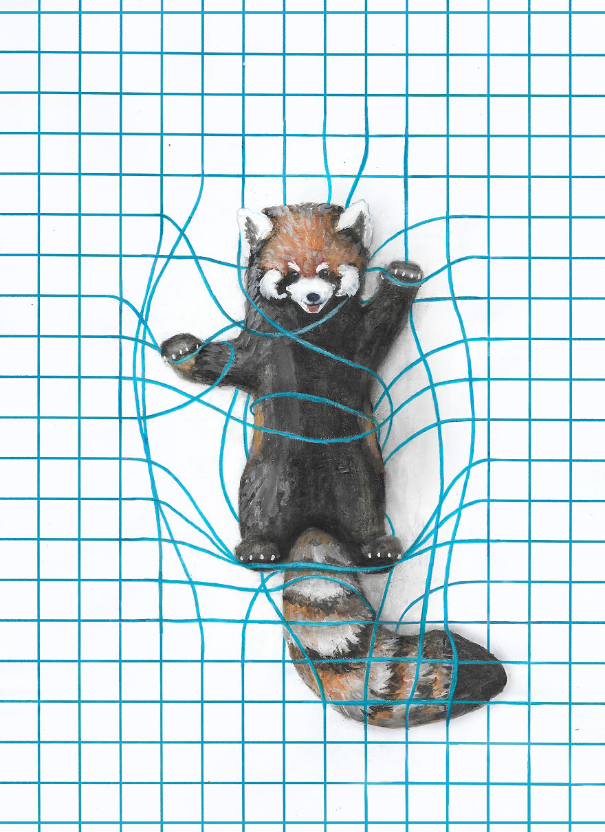 My 8 Animal Drawings On Lined, Dotted, And Graph Paper Are Made To Look Like They Are ‘Playing’ On The Page My 8 Animal Drawings On Lined, Dotted, And Graph Paper Are Made To Look Like They Are ‘Playing’ On The Page