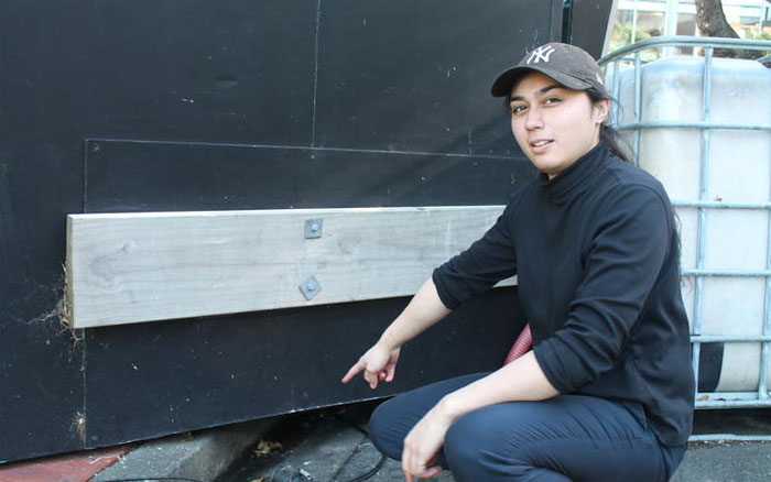 Police Remove Rogue Penguins From A Sushi Shop, Have To Return After They Come Back Police Remove Rogue Penguins From A Sushi Shop, Have To Return After They Come Back