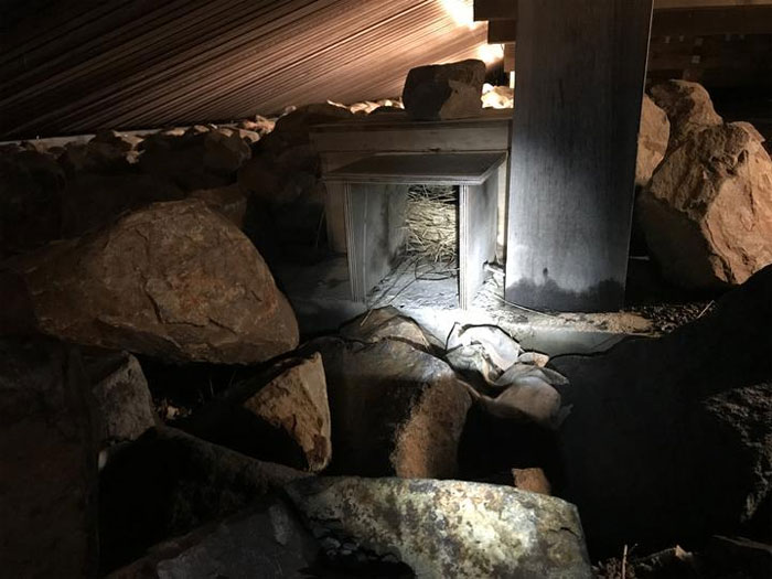 Police Remove Rogue Penguins From A Sushi Shop, Have To Return After They Come Back Police Remove Rogue Penguins From A Sushi Shop, Have To Return After They Come Back