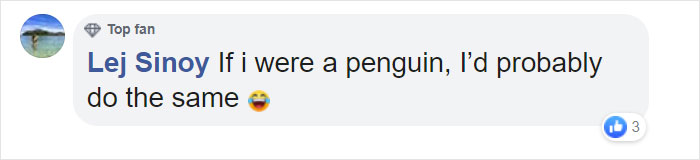 Police Remove Rogue Penguins From A Sushi Shop, Have To Return After They Come Back Police Remove Rogue Penguins From A Sushi Shop, Have To Return After They Come Back