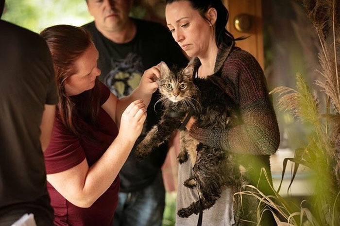 Stephen King’s Pet Sematary Remake Had Cats From Shelters Who Were Trained To Become Cat Actors Stephen King’s Pet Sematary Remake Had Cats From Shelters Who Were Trained To Become Cat Actors