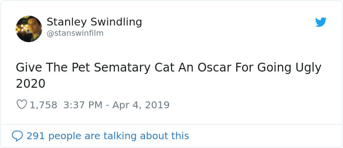 Stephen King’s Pet Sematary Remake Had Cats From Shelters Who Were Trained To Become Cat Actors Stephen King’s Pet Sematary Remake Had Cats From Shelters Who Were Trained To Become Cat Actors