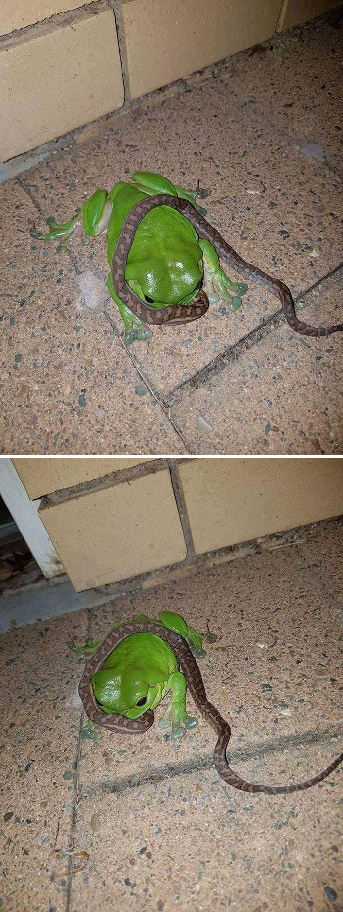 Australia Is The Land Of ‘Nope’, And These 75 Pictures Prove It Australia Is The Land Of ‘Nope’, And These 75 Pictures Prove It