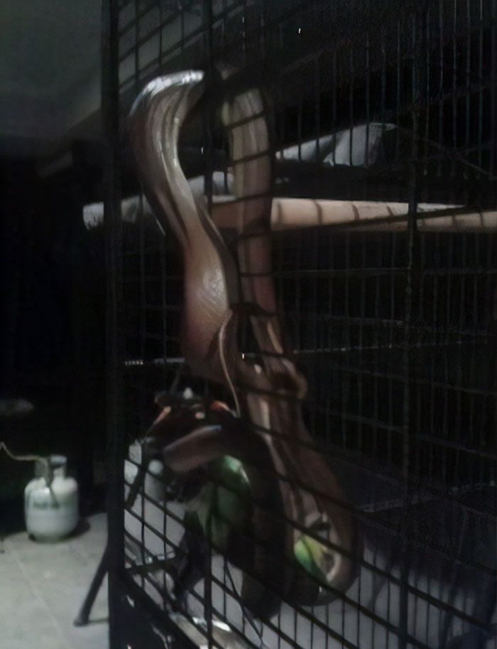 Australia Is The Land Of ‘Nope’, And These 75 Pictures Prove It Australia Is The Land Of ‘Nope’, And These 75 Pictures Prove It