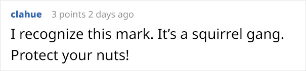 Neighbors Get Nervous Seeing Mysterious Symbols Appearing, Inform The Police, Turns Out It’s A Butt Neighbors Get Nervous Seeing Mysterious Symbols Appearing, Inform The Police, Turns Out It’s A Butt