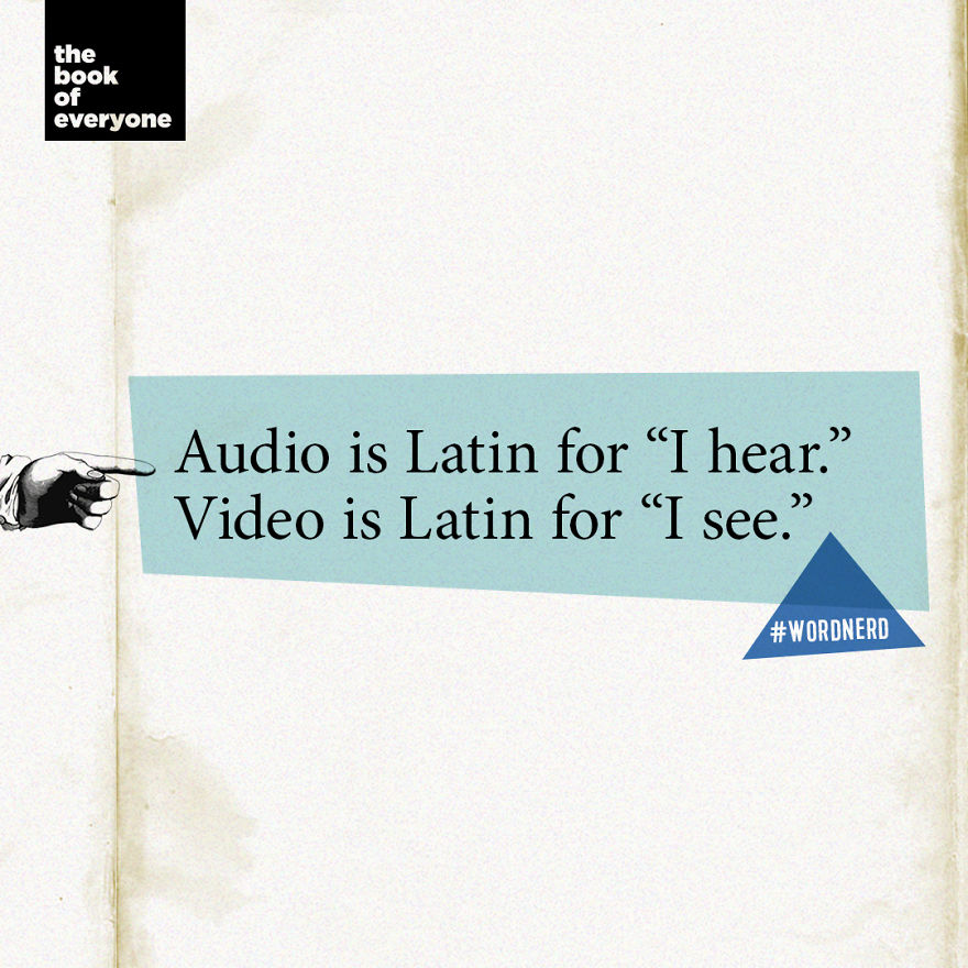 27 Weird But Interesting Facts About Words That You Probably Didn’t Know 27 Weird But Interesting Facts About Words That You Probably Didn’t Know