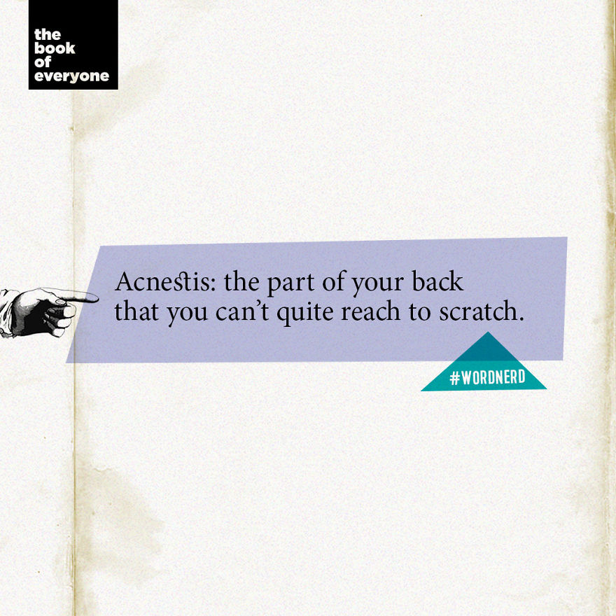 27 Weird But Interesting Facts About Words That You Probably Didn’t Know 27 Weird But Interesting Facts About Words That You Probably Didn’t Know