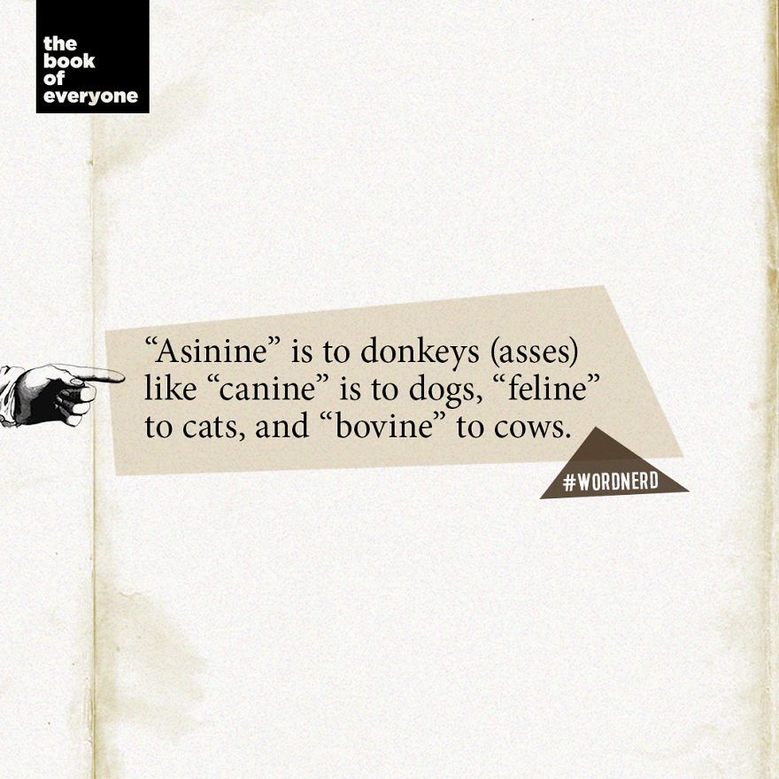 27 Weird But Interesting Facts About Words That You Probably Didn’t Know 27 Weird But Interesting Facts About Words That You Probably Didn’t Know