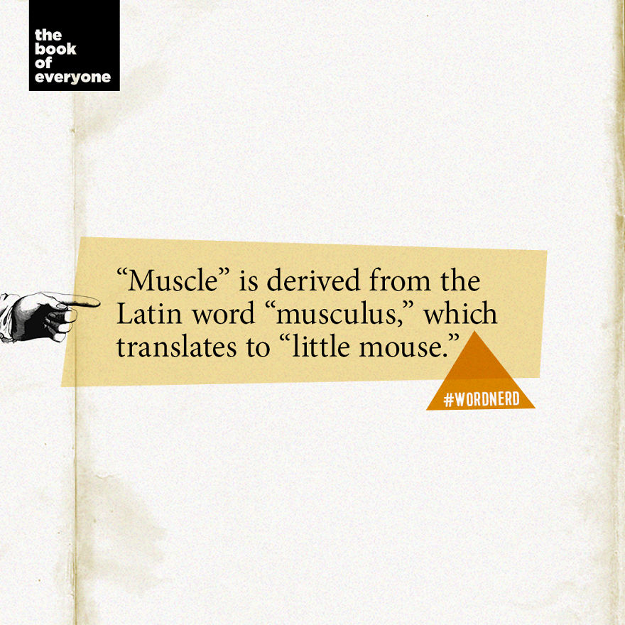 27 Weird But Interesting Facts About Words That You Probably Didn’t Know 27 Weird But Interesting Facts About Words That You Probably Didn’t Know