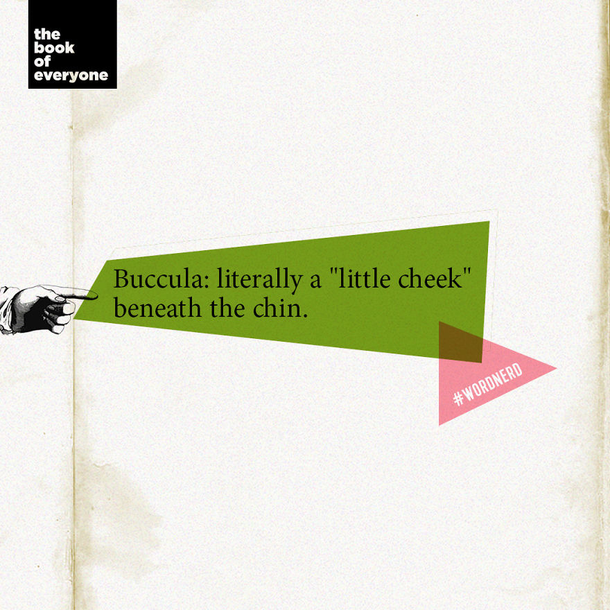 27 Weird But Interesting Facts About Words That You Probably Didn’t Know 27 Weird But Interesting Facts About Words That You Probably Didn’t Know