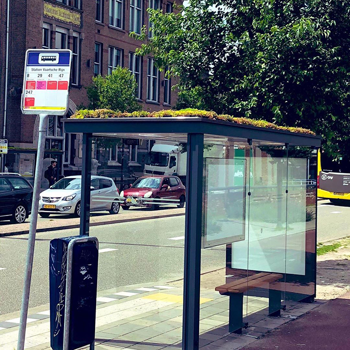 The Netherlands Turns 316 Bus Stops Into Bee Stops The Netherlands Turns 316 Bus Stops Into Bee Stops