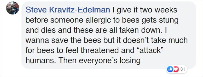 The Netherlands Turns 316 Bus Stops Into Bee Stops The Netherlands Turns 316 Bus Stops Into Bee Stops