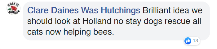 The Netherlands Turns 316 Bus Stops Into Bee Stops The Netherlands Turns 316 Bus Stops Into Bee Stops
