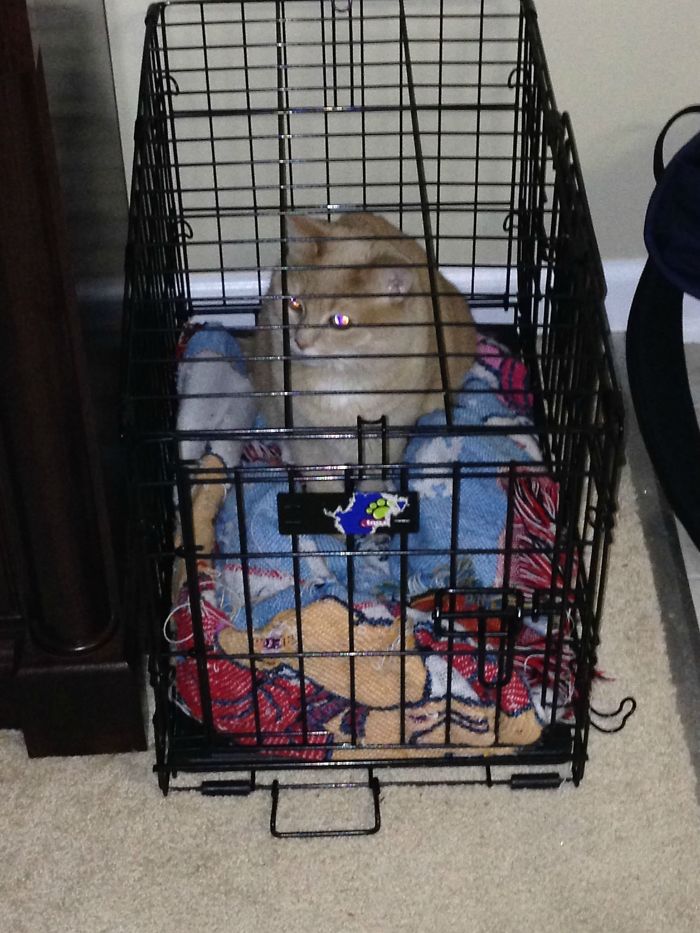 41 People Who Just Realized They’re Dating An Idiot 41 People Who Just Realized They’re Dating An Idiot