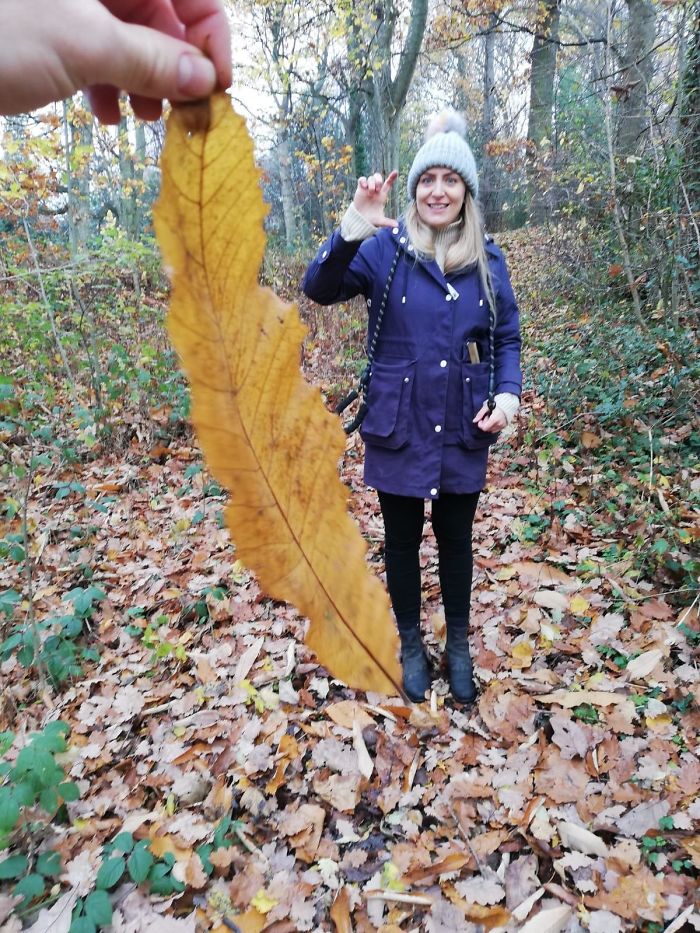 41 People Who Just Realized They’re Dating An Idiot 41 People Who Just Realized They’re Dating An Idiot