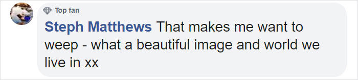 9 Magical Pictures Of Hummingbirds’ Wings Shining Like Rainbows 9 Magical Pictures Of Hummingbirds’ Wings Shining Like Rainbows