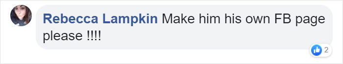 Woman Photographs Her Toad Doing Things In Her Dollhouse And People Love It (8 Pics) Woman Photographs Her Toad Doing Things In Her Dollhouse And People Love It (8 Pics)