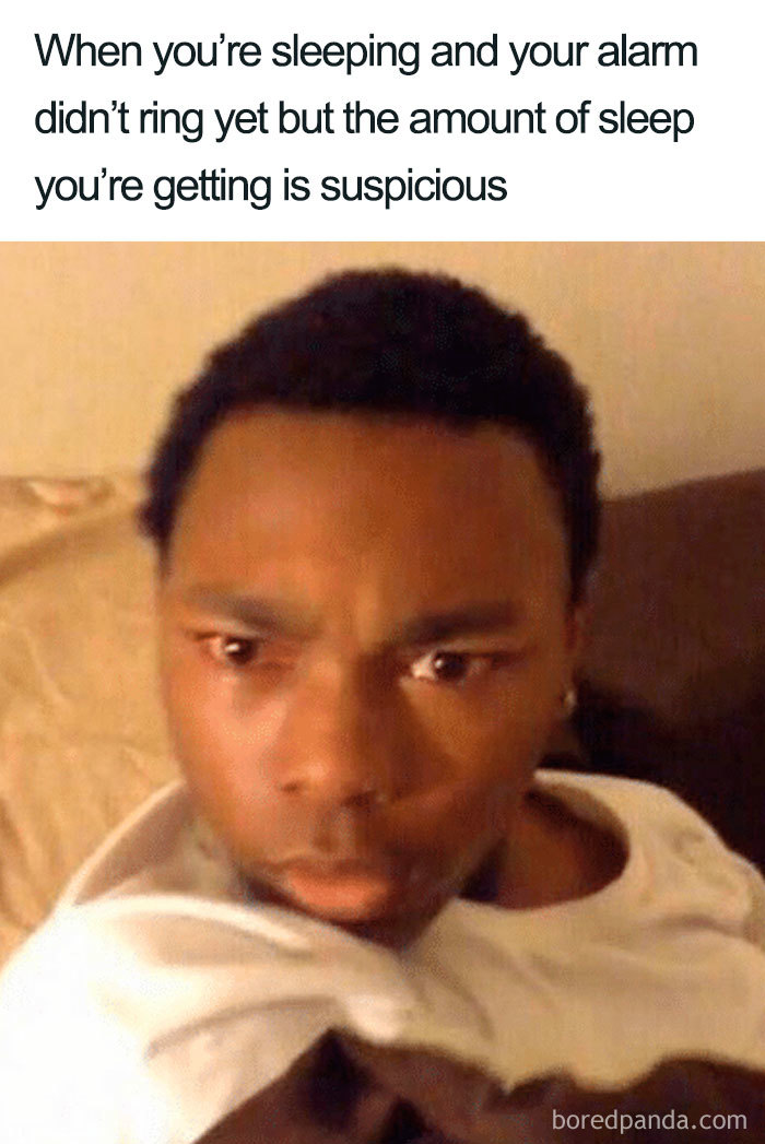 96 Of The Funniest Sleeping Memes Ever 96 Of The Funniest Sleeping Memes Ever
