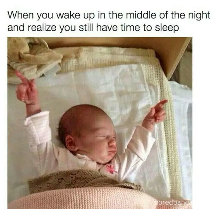 96 Of The Funniest Sleeping Memes Ever 96 Of The Funniest Sleeping Memes Ever