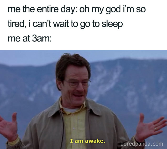 96 Of The Funniest Sleeping Memes Ever 96 Of The Funniest Sleeping Memes Ever