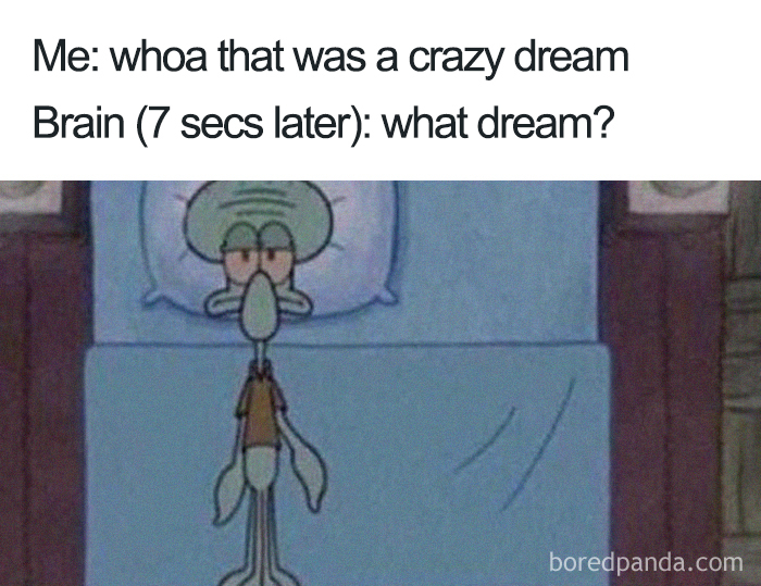 96 Of The Funniest Sleeping Memes Ever 96 Of The Funniest Sleeping Memes Ever