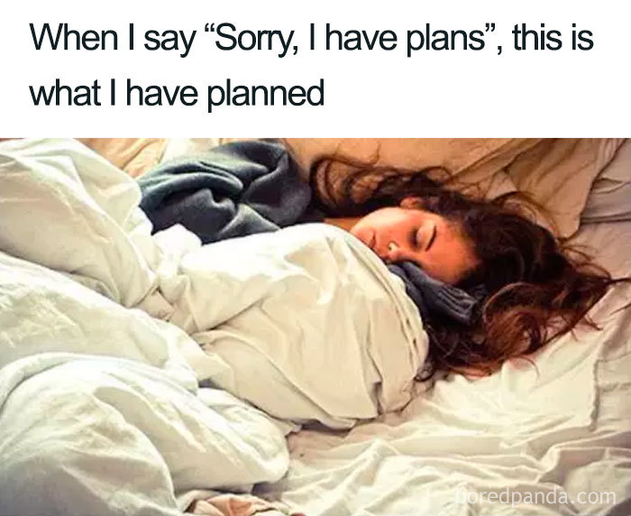 96 Of The Funniest Sleeping Memes Ever 96 Of The Funniest Sleeping Memes Ever