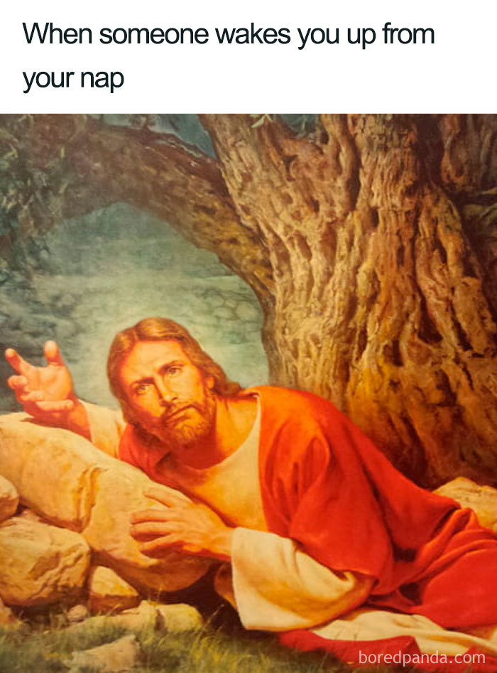 96 Of The Funniest Sleeping Memes Ever 96 Of The Funniest Sleeping Memes Ever