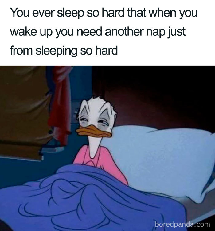 96 Of The Funniest Sleeping Memes Ever 96 Of The Funniest Sleeping Memes Ever