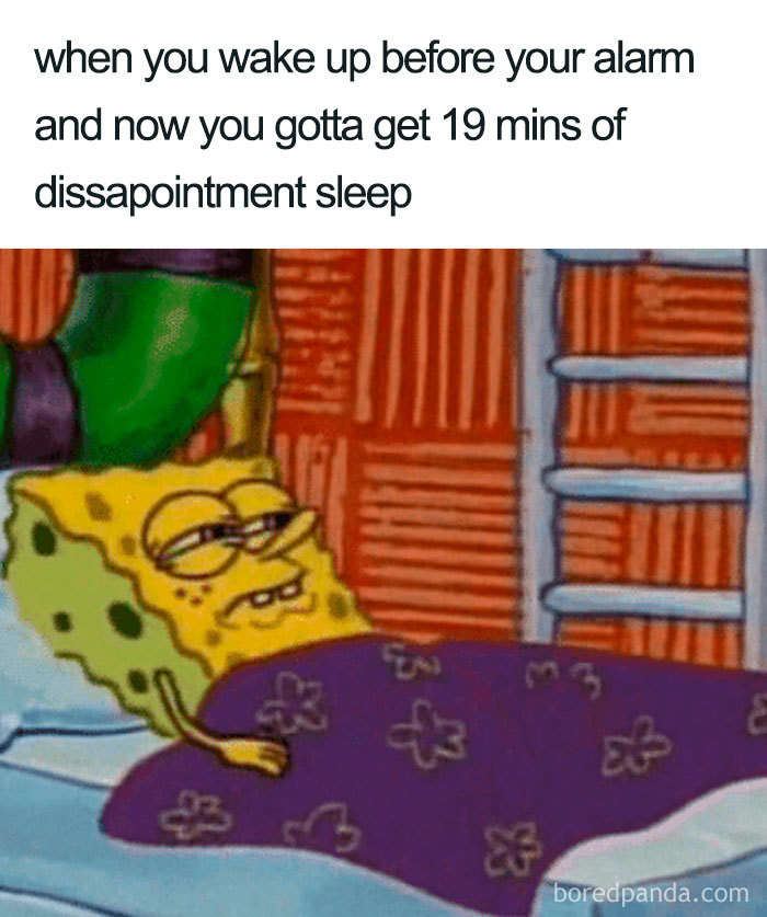 96 Of The Funniest Sleeping Memes Ever 96 Of The Funniest Sleeping Memes Ever