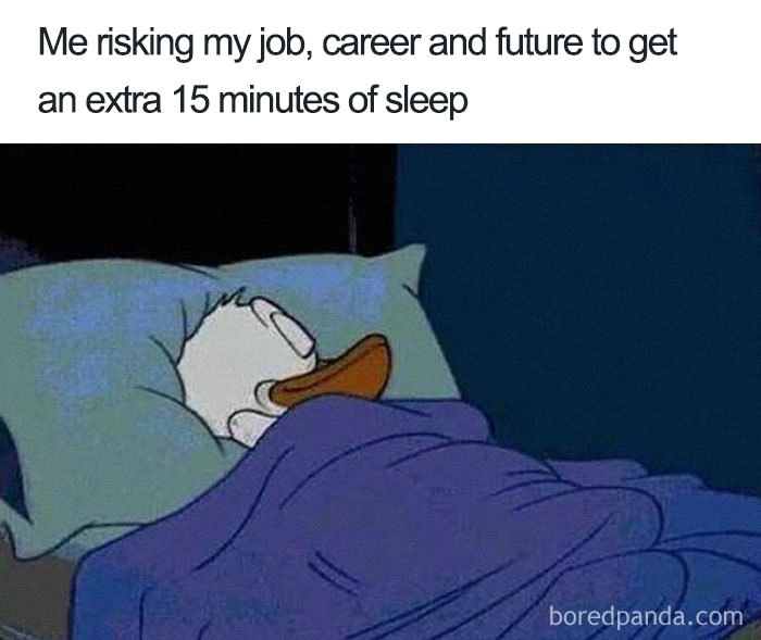 96 Of The Funniest Sleeping Memes Ever 96 Of The Funniest Sleeping Memes Ever