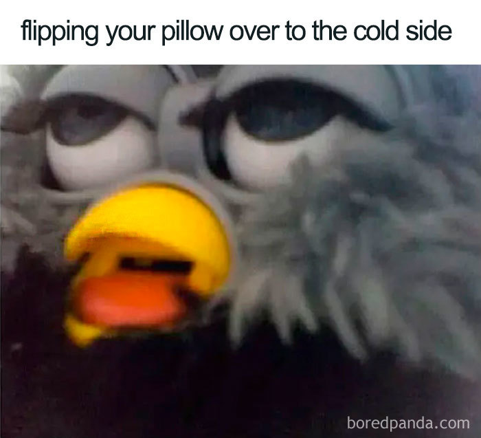 96 Of The Funniest Sleeping Memes Ever 96 Of The Funniest Sleeping Memes Ever