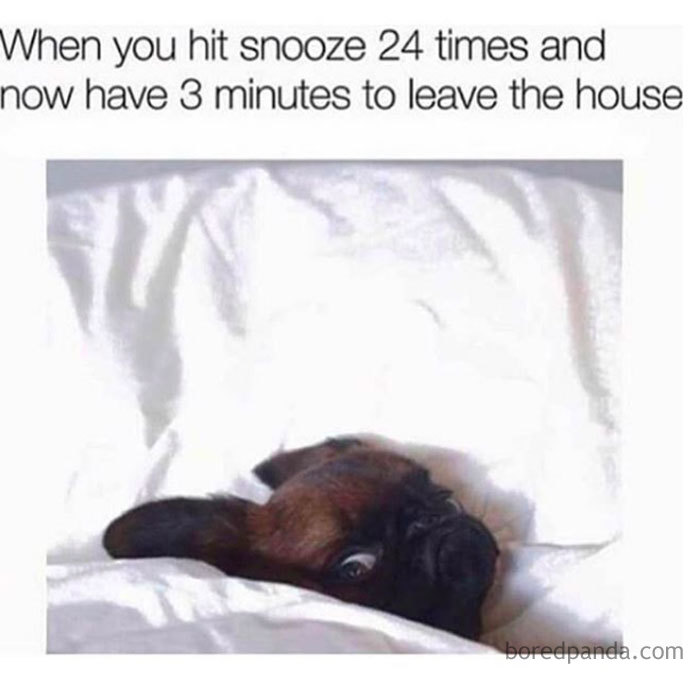 96 Of The Funniest Sleeping Memes Ever 96 Of The Funniest Sleeping Memes Ever